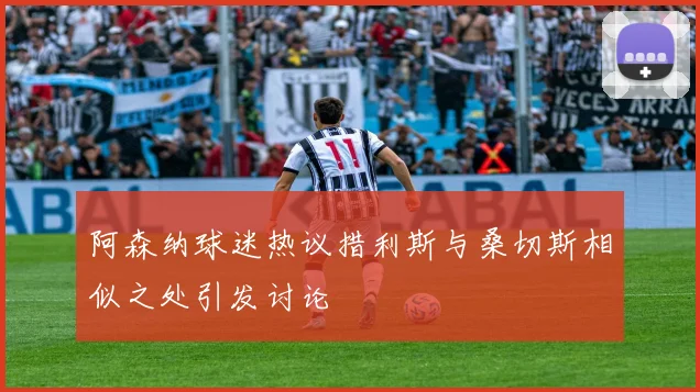 阿森纳球迷热议措利斯与桑切斯相似之处引发讨论
