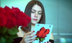 ROSESHIRE. daisy rose