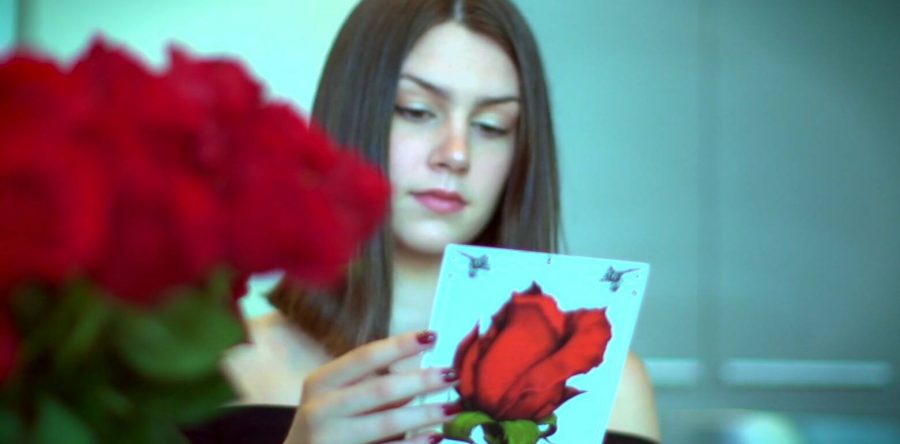 ROSESHIRE. daisy rose